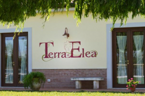  Agriturismo Terra Di Elea  Ашеа
